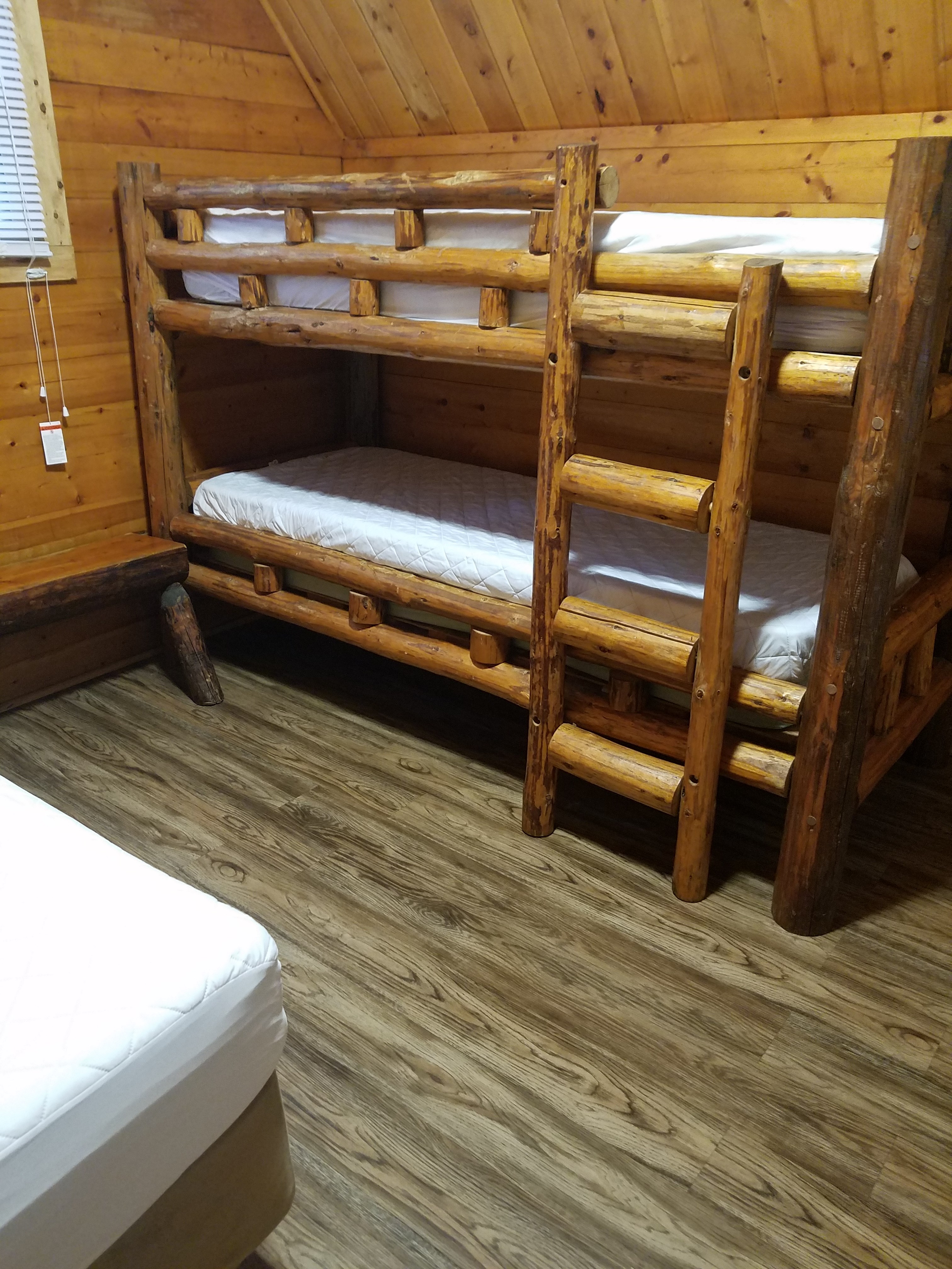 Layout in Camping Cabins