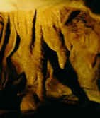 Black Hills Caverns