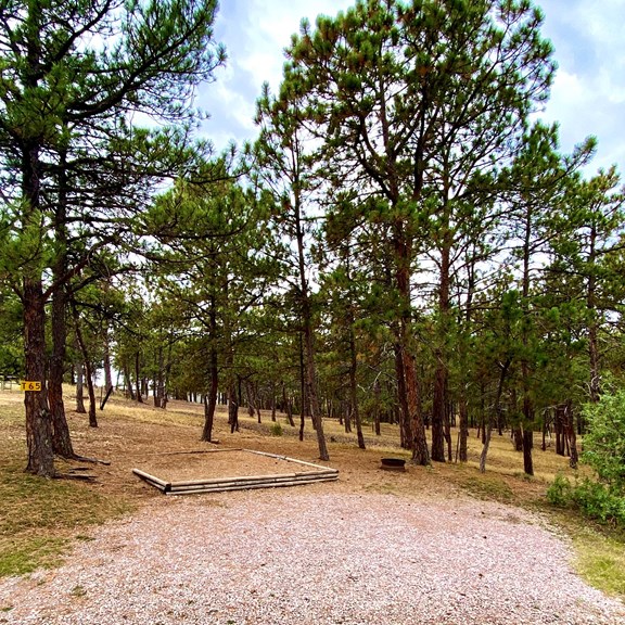 Rustic Tent Sites with trees