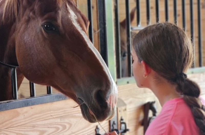 National Barn Day Photo