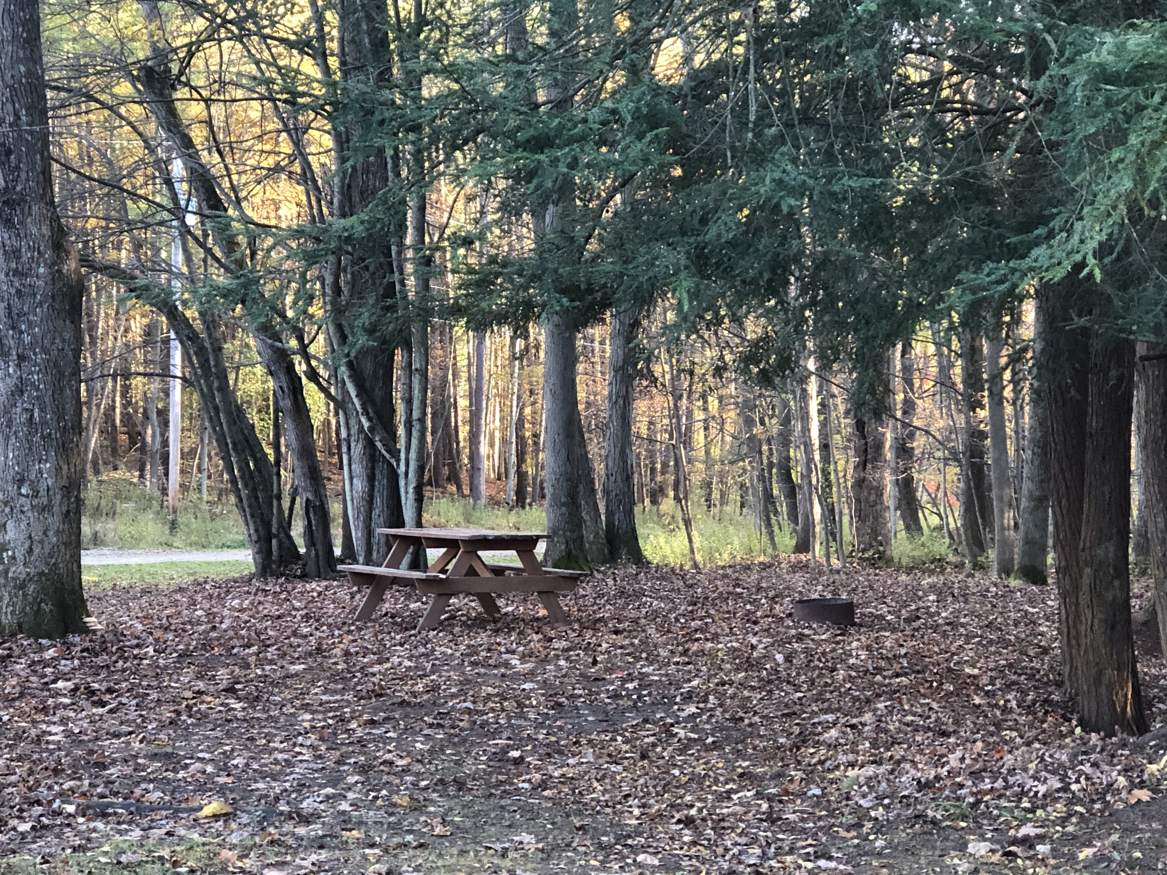 Family size tent sites