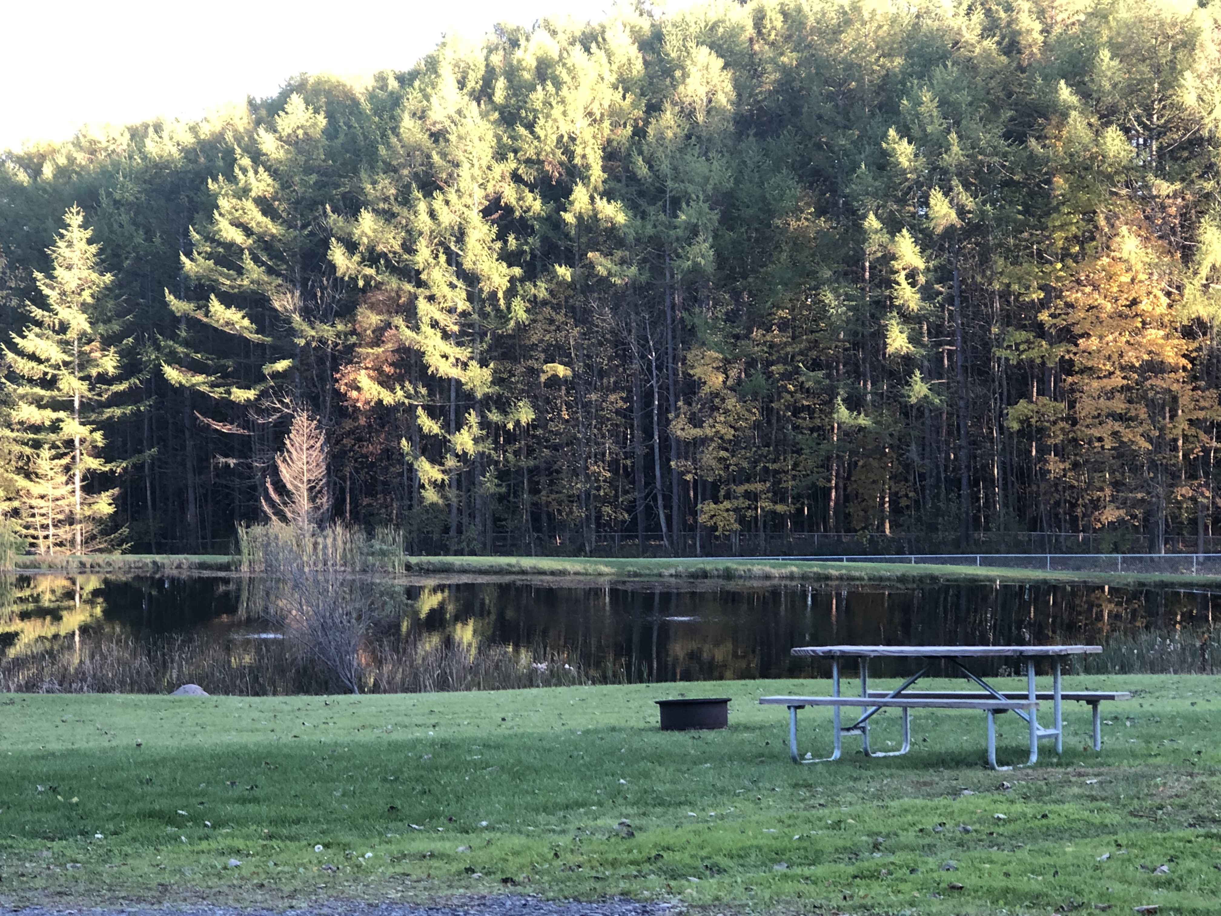View of the pond from the pull-thrus