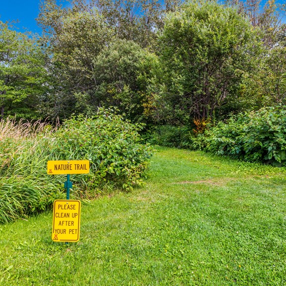 Walking and Hiking Trails