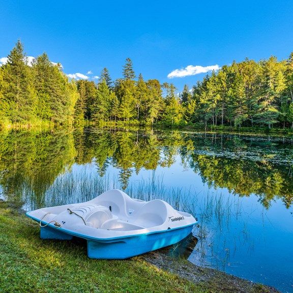 Paddleboats