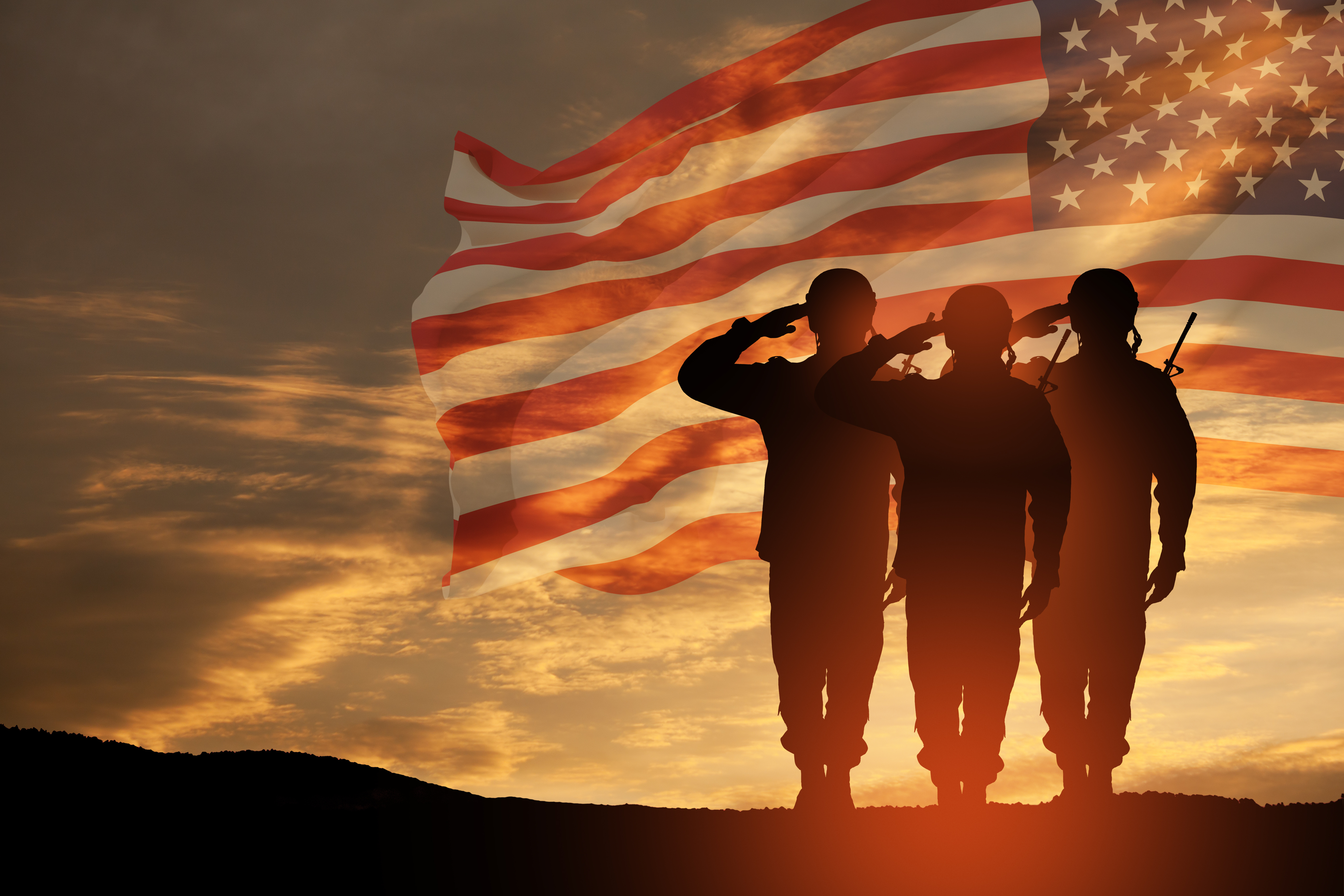 Veterans Day Salute Photo