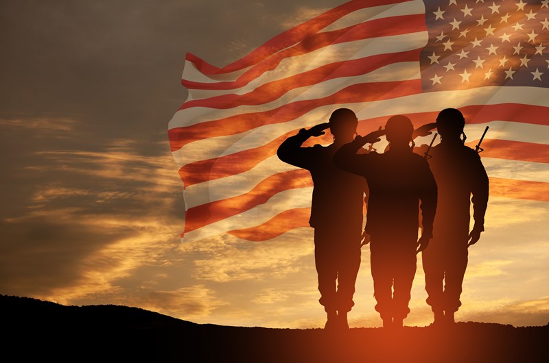 Veterans Day Salute Photo