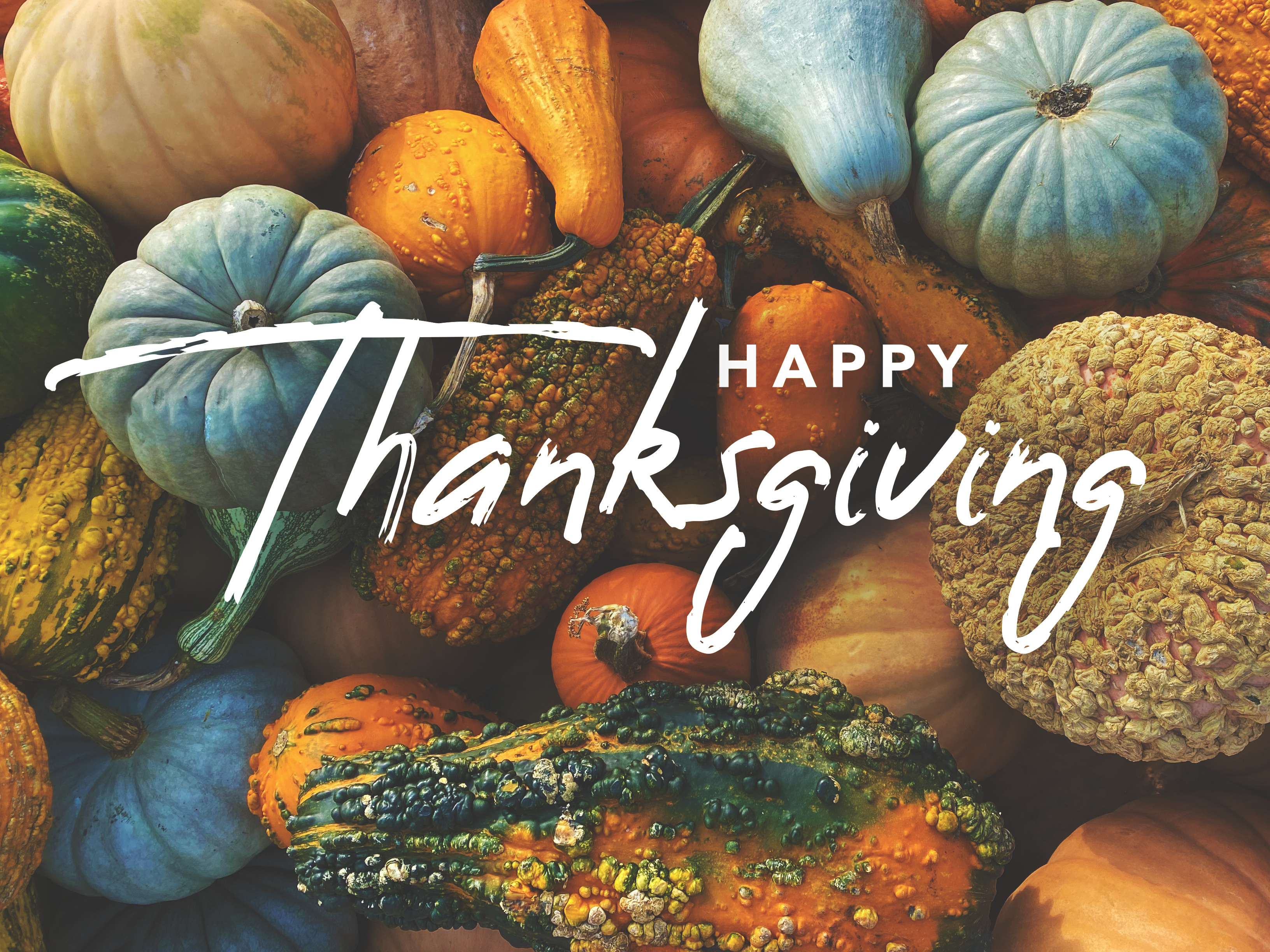Thanksgiving at the Resort Photo