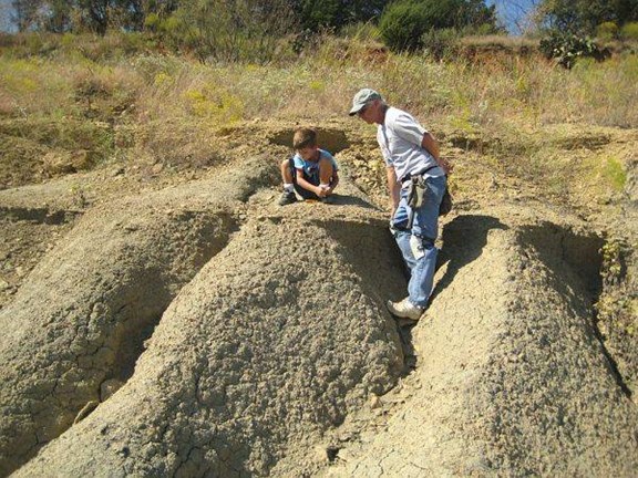 Mineral Wells Fossil Park