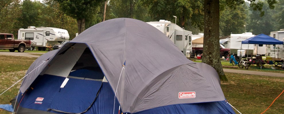 Tent on our grassy sites