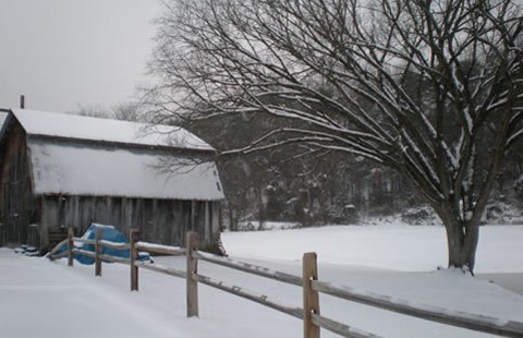 Winter Snow