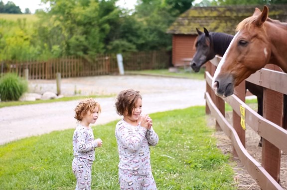 Horses & Goats Petting