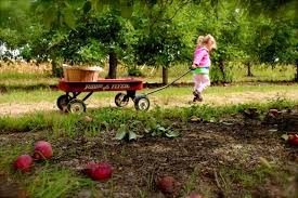 Tuttle's Orchard and Farm Store