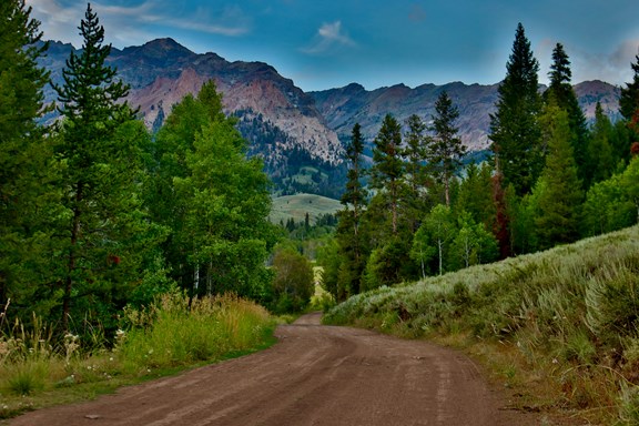 Sawtelle Peak