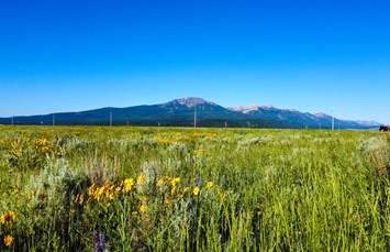 Island Park KOA Holiday Photo