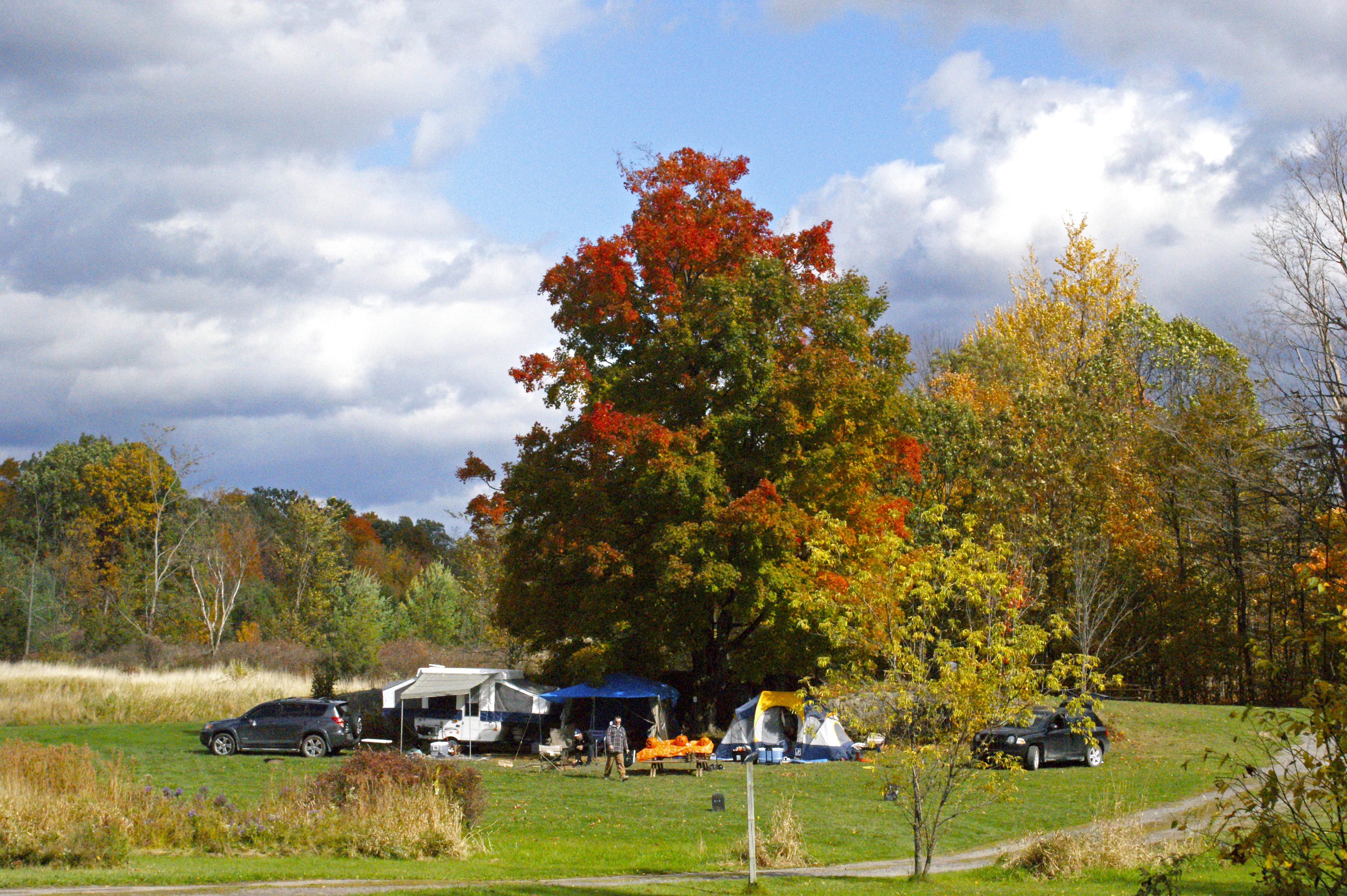 Tent Site - No Hookups - Remote