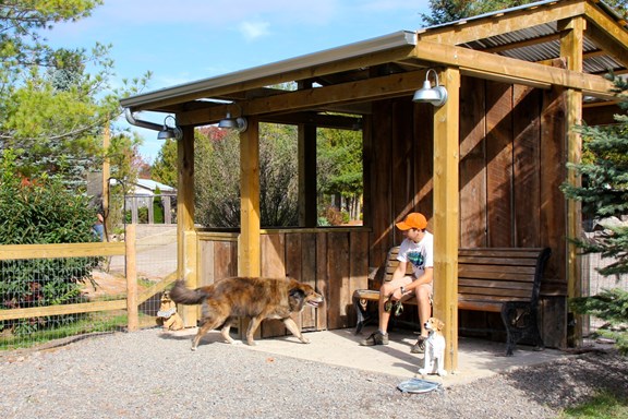 Seating Area and Water Bowl At Dog Park 1000 Islands Ivy Lea KOA Campground