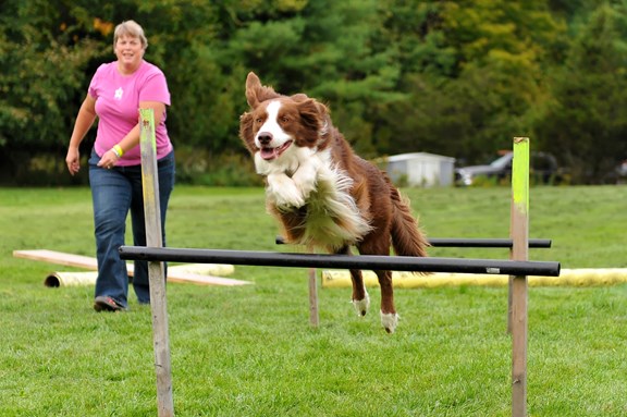 Obstacle Course 1000 Islands Ivy Lea KOA Campground