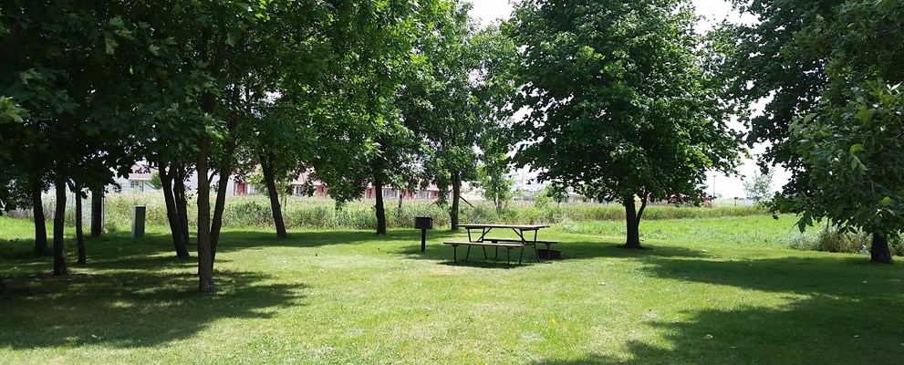 Tent Sites