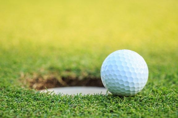 Laurel Island Links
