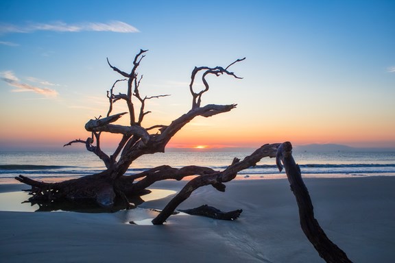 Golden Isles