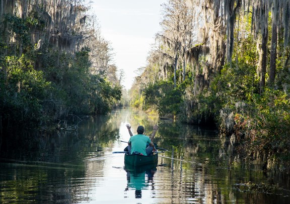 Okefenokee Swamp