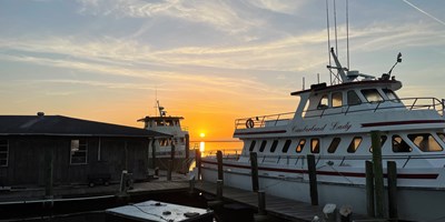 Cumberland Island Ferry Tips: What to Know Before You Go