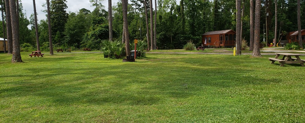 Group tent sites