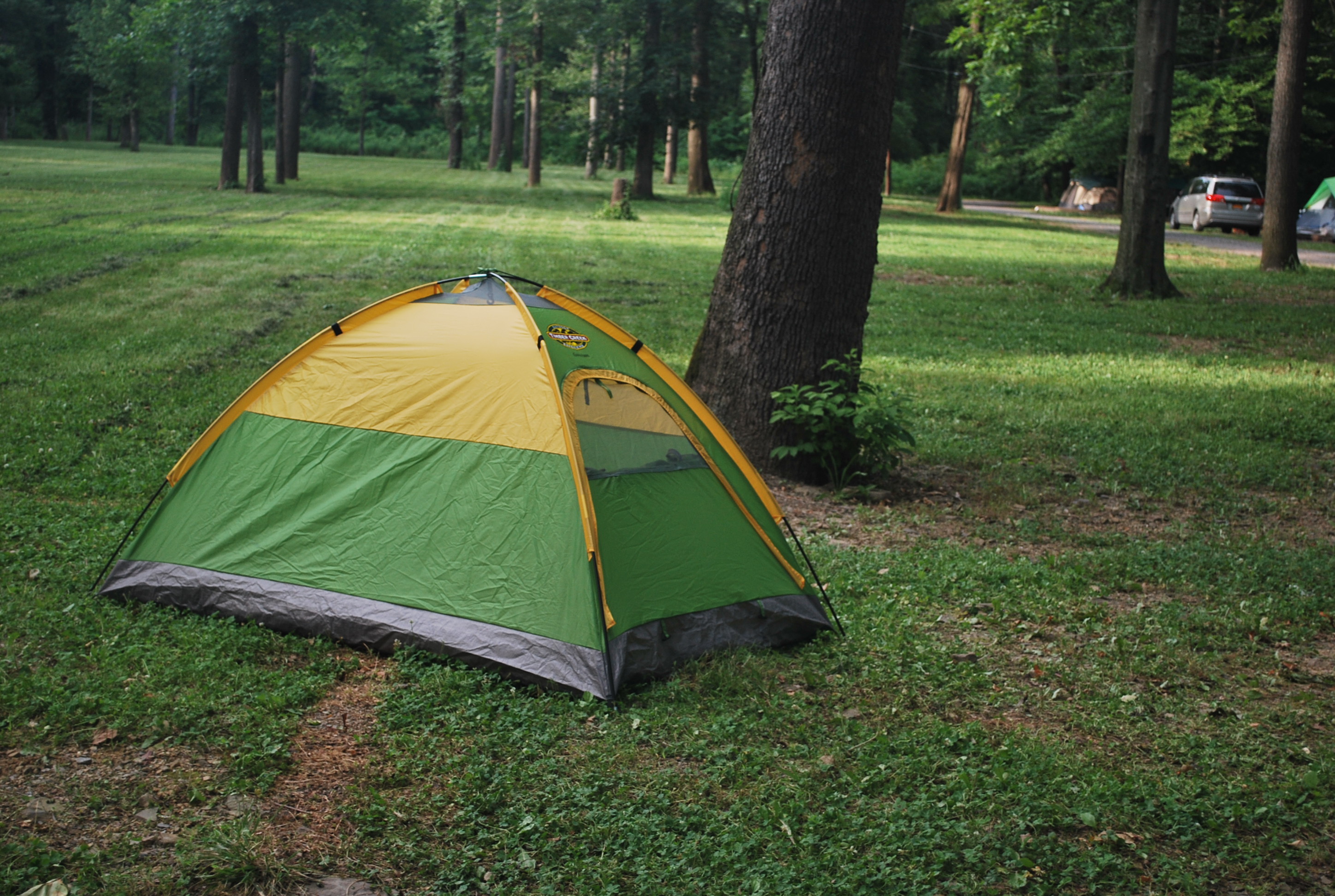 Scout Troop Camping