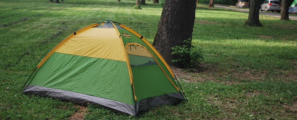 Scout Troop Camping