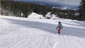 Local Area Skiing