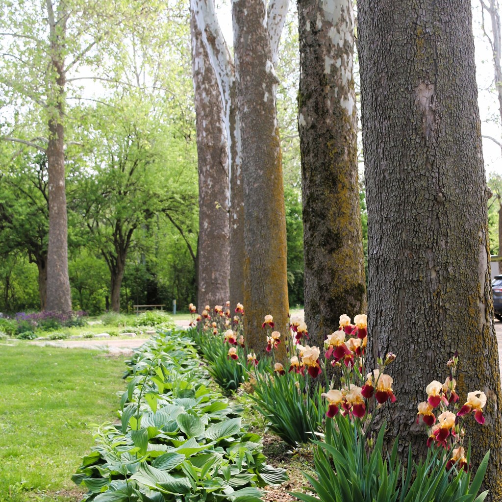 Embrace the Thaw: Why Early Spring is the Best Time to Camp