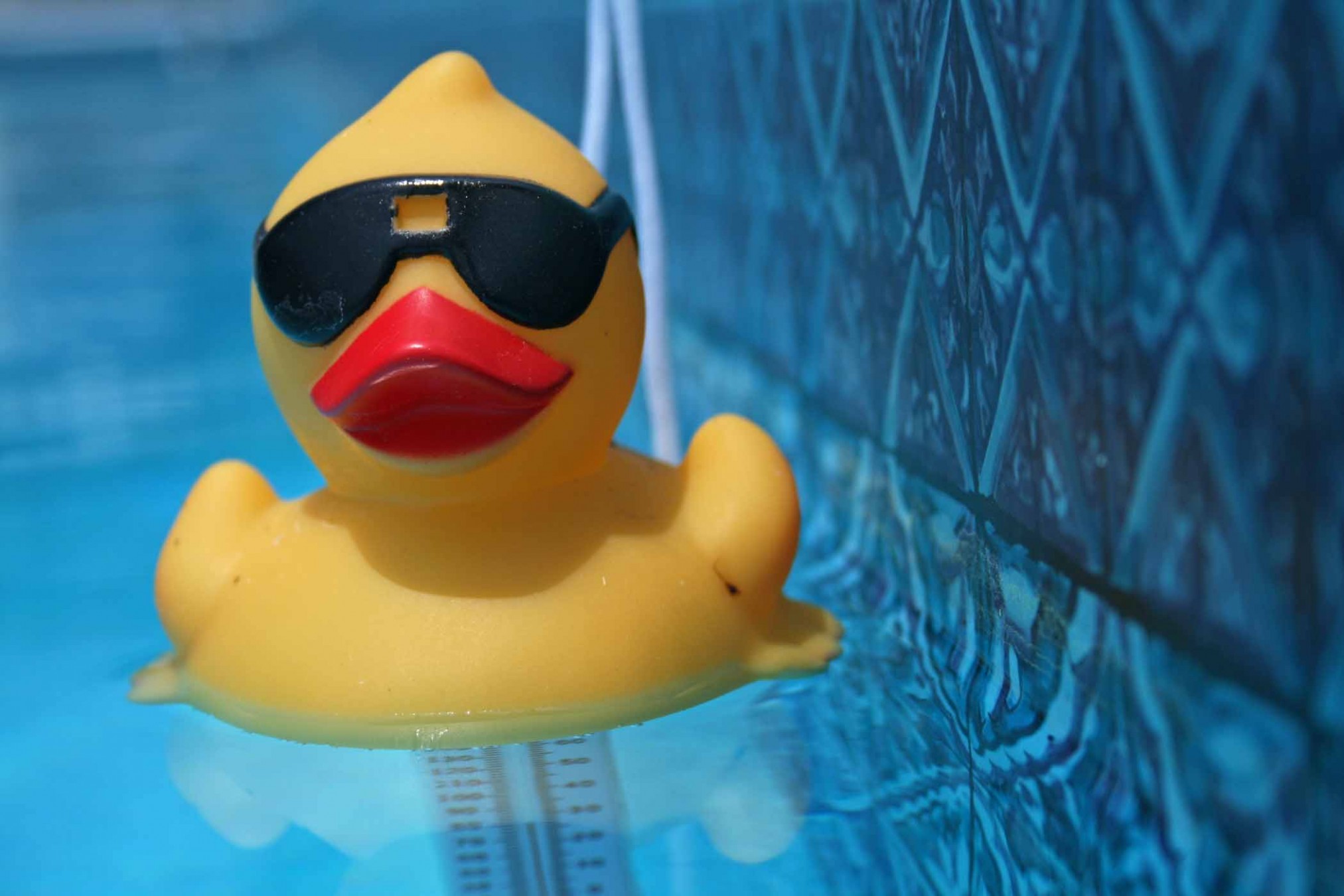 Care Camps Rubber Duck Derby - Labor Day Weekend! Photo