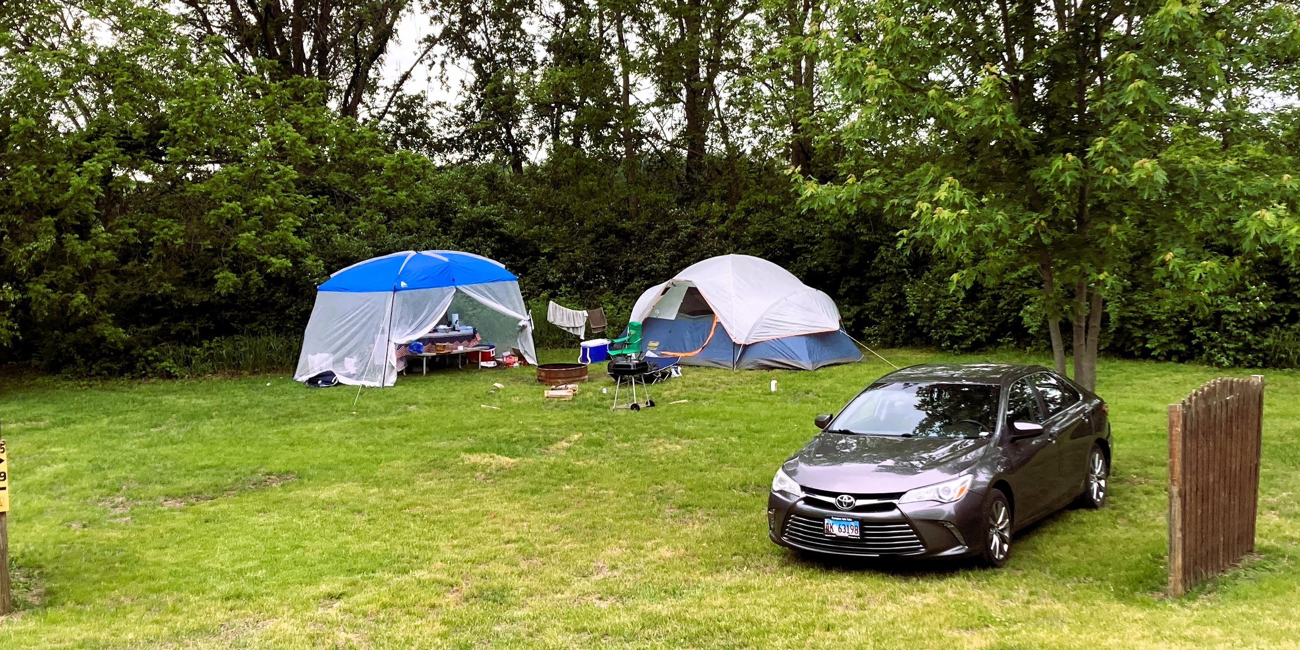 Site T15