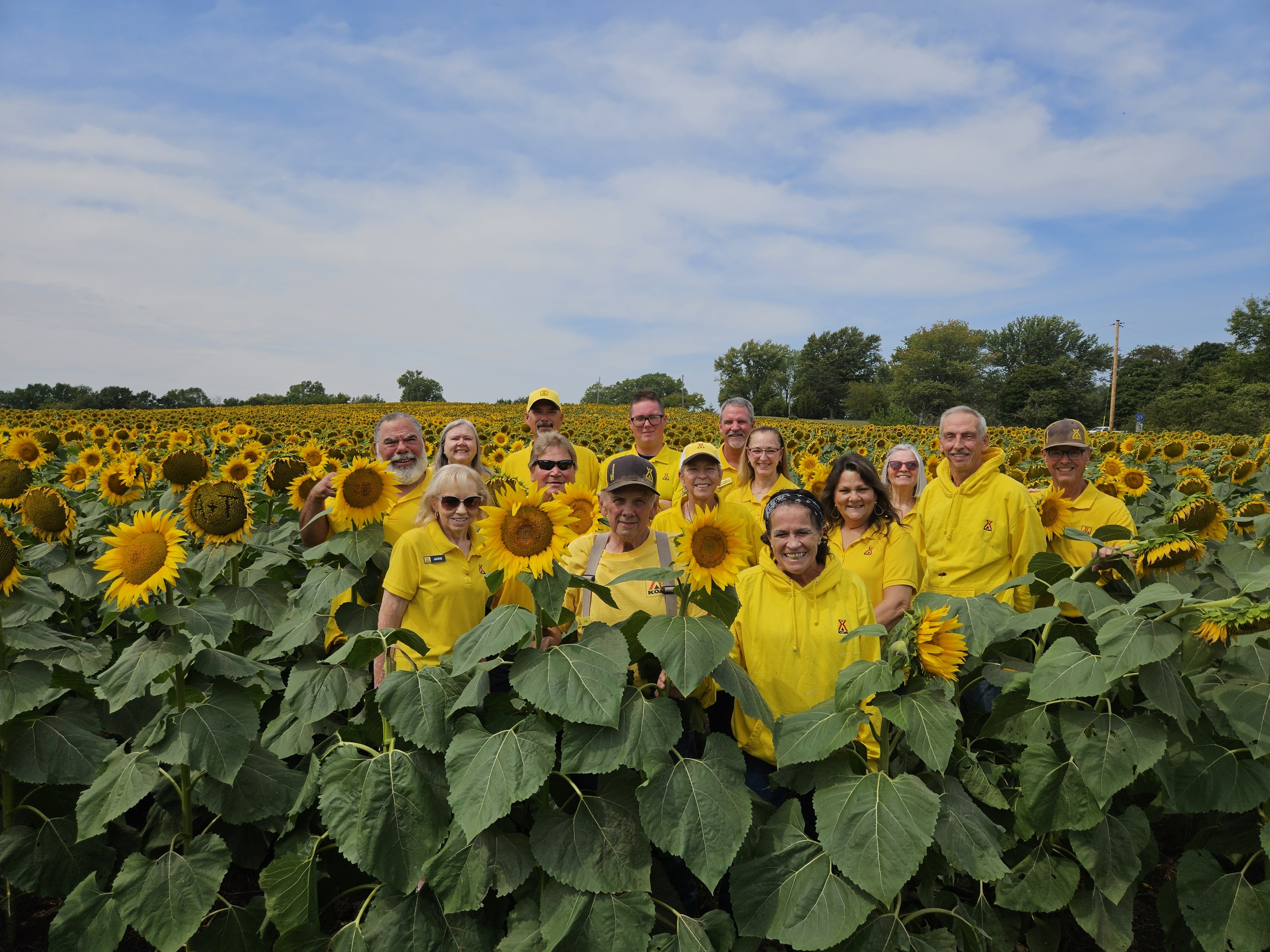 Grinter's Sunflower Farm Photo