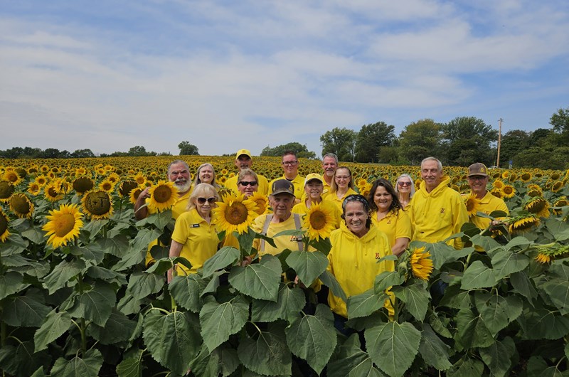 Grinter's Sunflower Farm Photo
