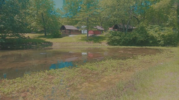 Welcome to the Paducah / I-24 / Kentucky Lake KOA Journey