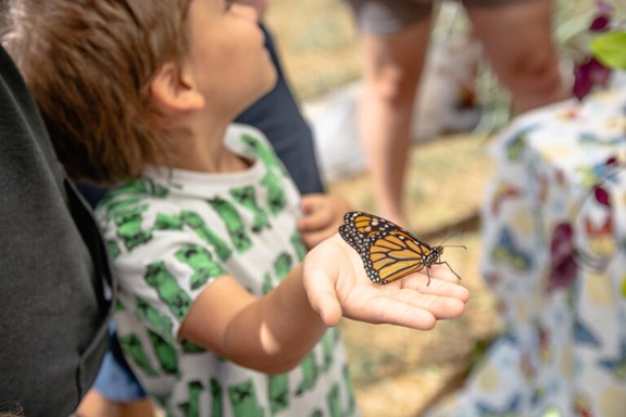 Stop Through Oak Grove, KY — A Blend of Nature, Gaming & Local Flavor