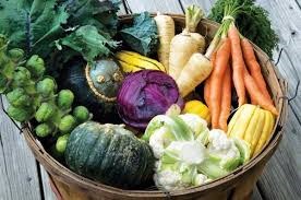 Junque Fest and Farmer's Market