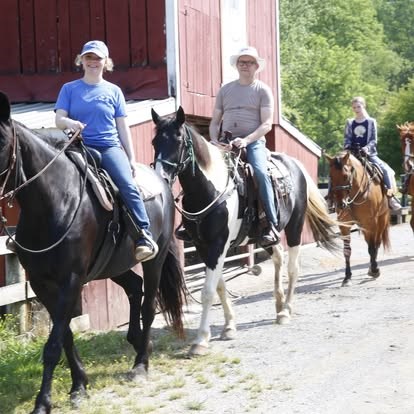 Horse Riding