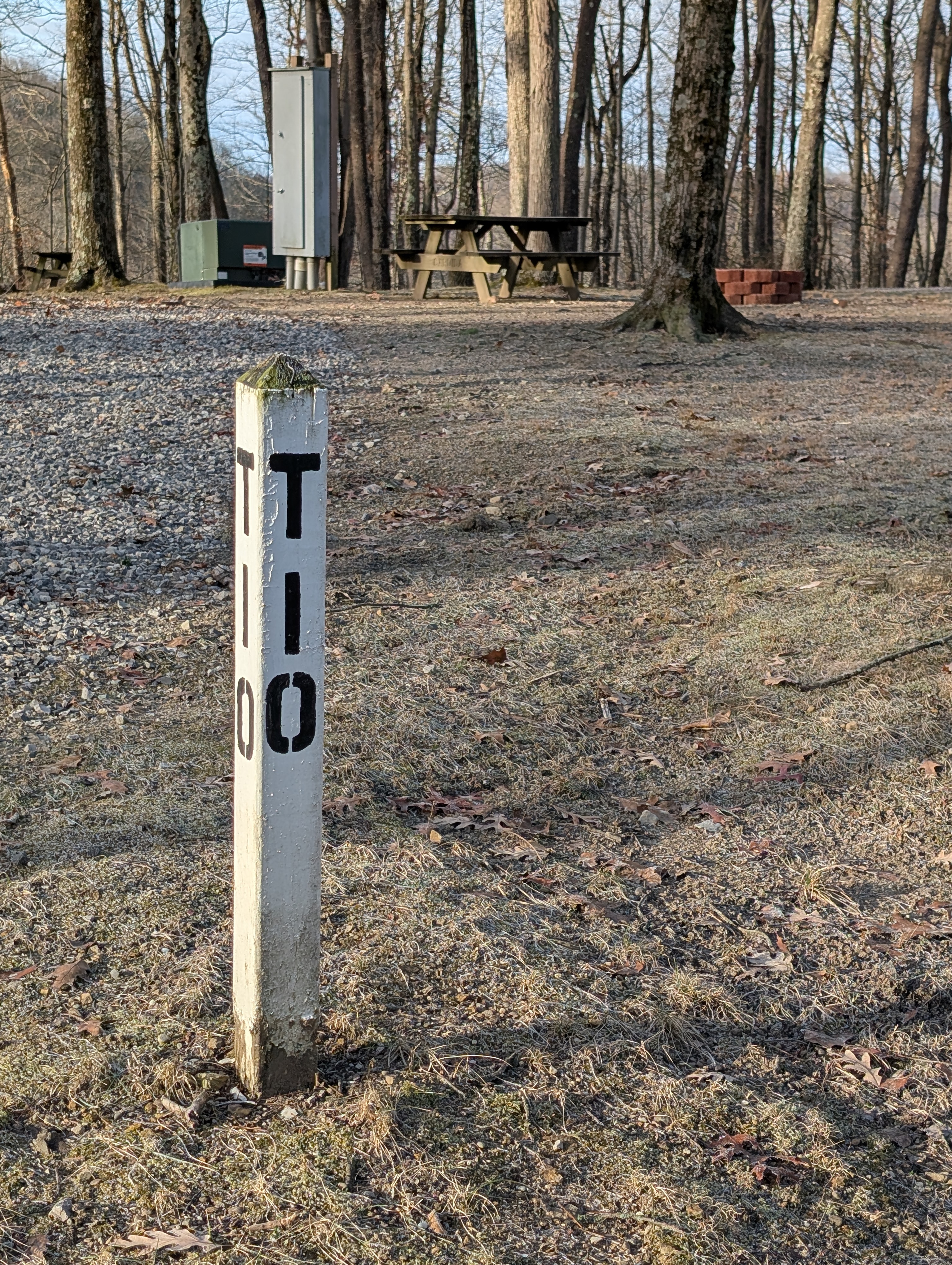 T10