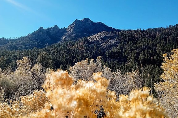 Hualapai Mountain Park
