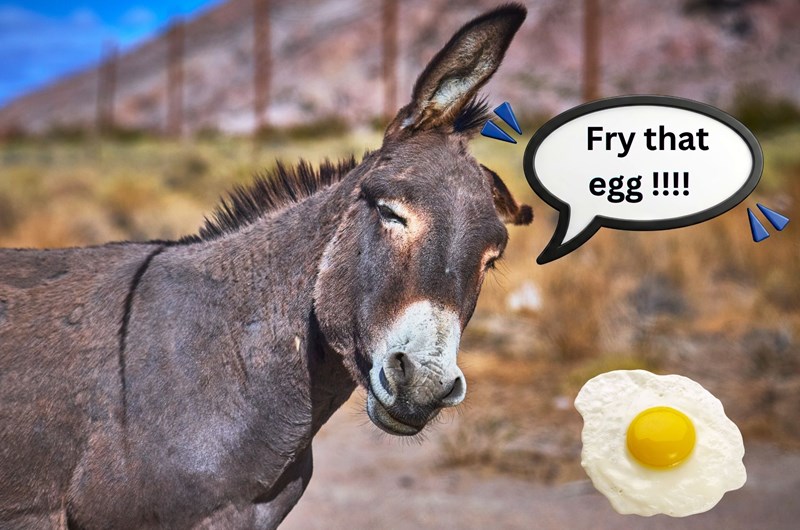 Oatman Sidewalk Egg Fry: Arizona's Hottest Fourth of July Photo