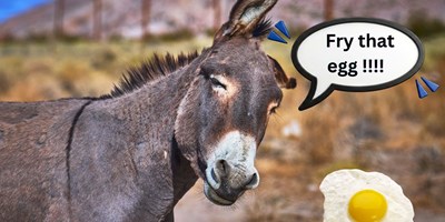 Oatman Sidewalk Egg Fry: Arizona's Hottest Fourth of July