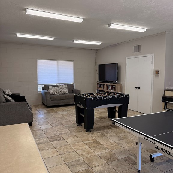 Remodeled Rec Room