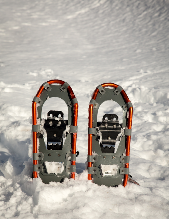 Ranger-Led Snowshoe Walks at Crater Lake National Park
