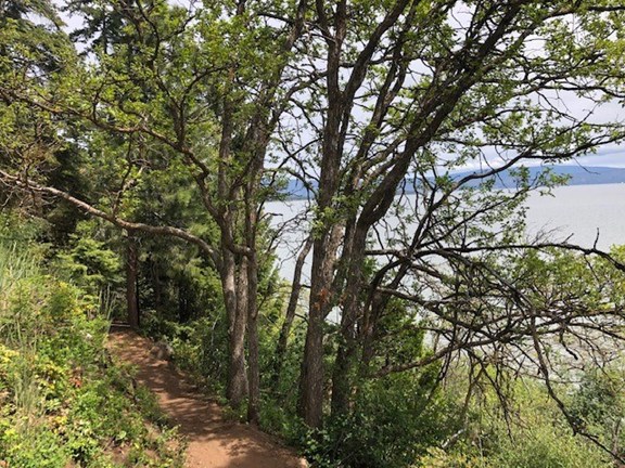 Spence Mountain