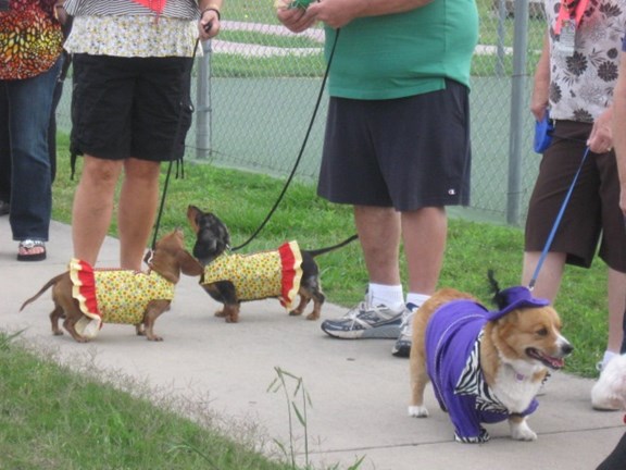 Pet Friendly