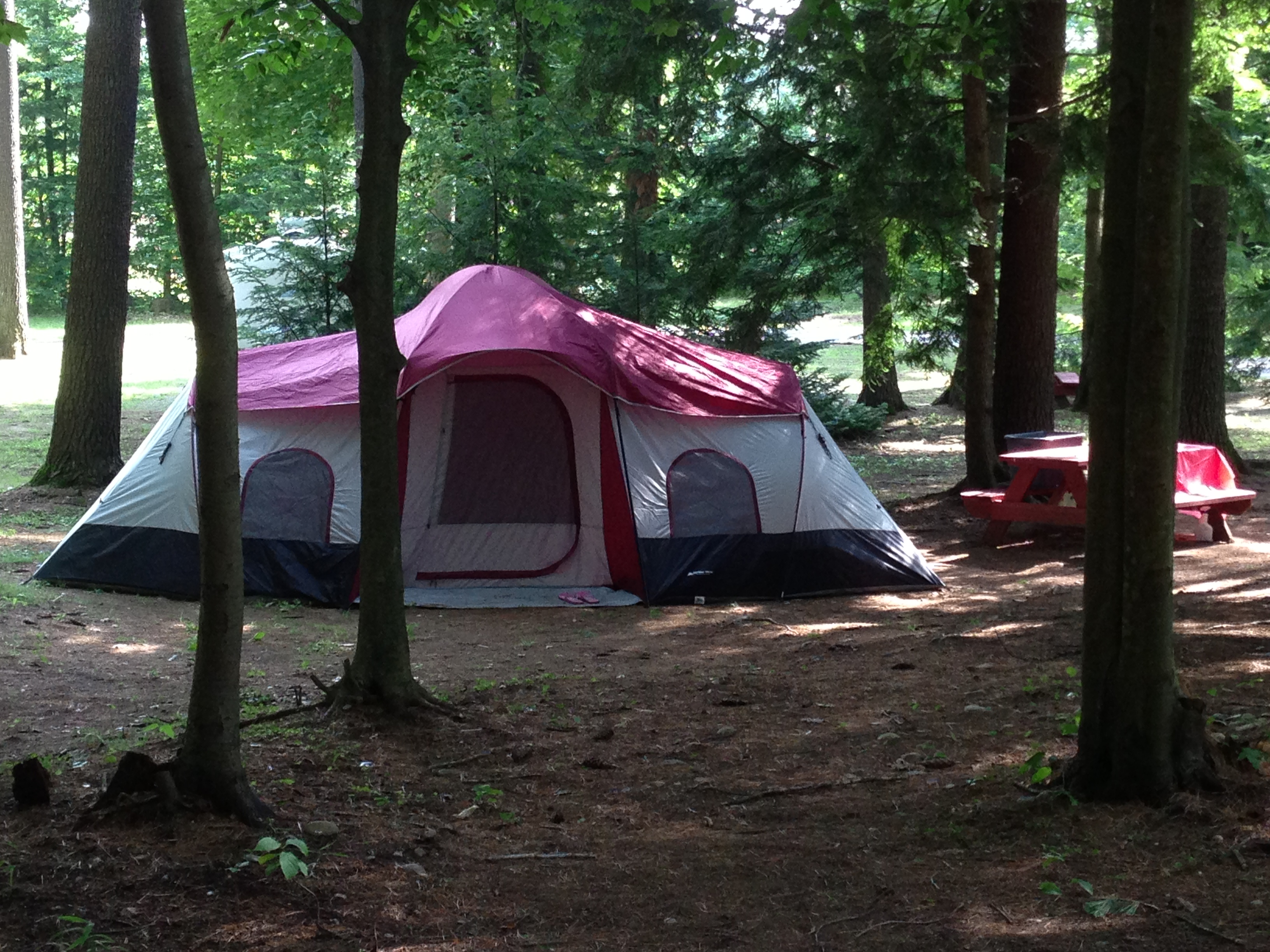 Tenting under the trees