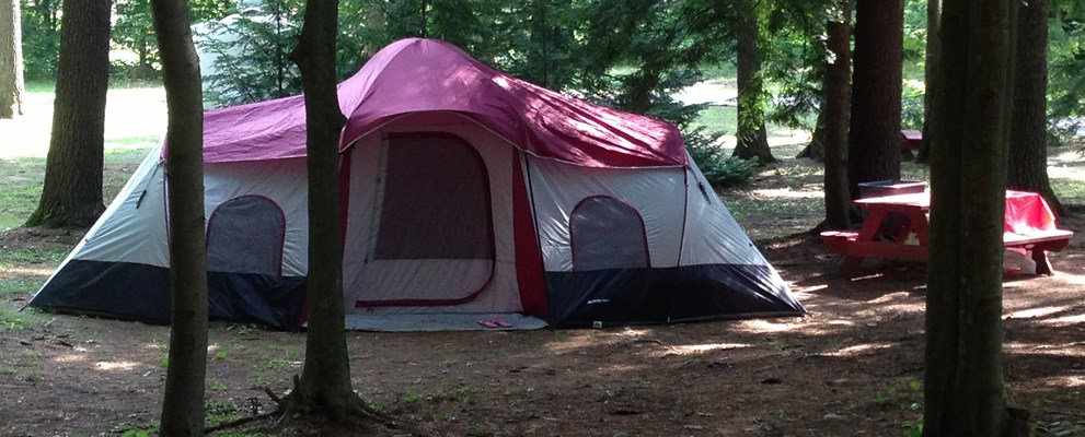 Tenting under the trees