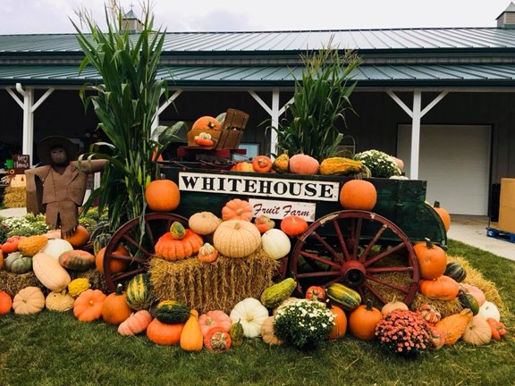 White House Fruit Farm